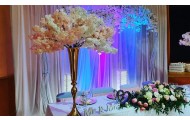 Hochzeitsdekoration
- Ausführliche Beratung -

- Raumdekoration -

- ausgefallene Floristik -

- Verleih -

. Essen 5